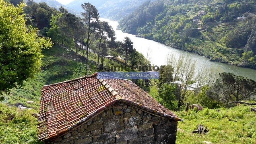 Quinta T0 para Venda em Marco