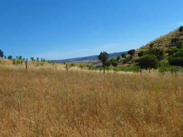 Terreno Agricola ou Rústico para Venda em Pinhel