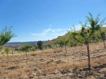 Terreno Agricola ou Rústico para Venda em Pinhel
