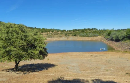 Terreno Agricola ou Rústico para Venda em Pinhel