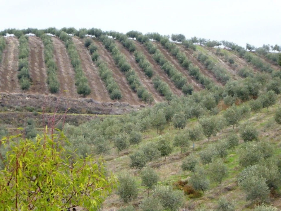Quinta T2 para Venda em Valpaços e Sanfins Foto 4