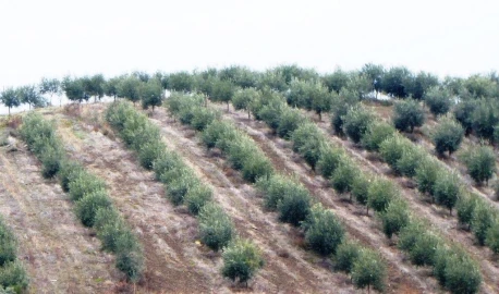 Quinta T2 para Venda em Valpaços e Sanfins
