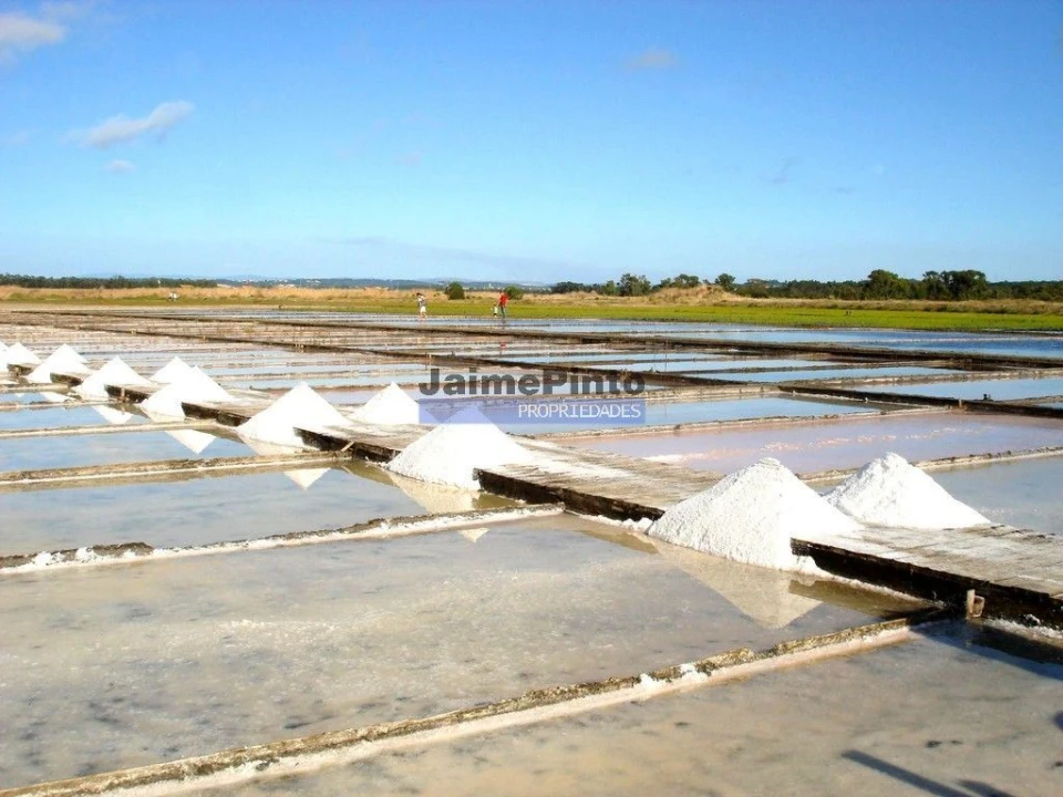 Terreno Misto para Venda em Tavarede Foto 3