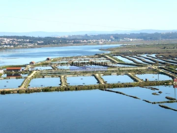 Terreno Misto para Venda em Tavarede