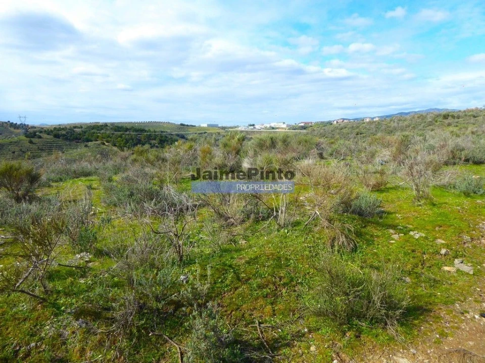 Terreno Agricola ou Rústico para Venda em Alfandega da Fe Foto 1