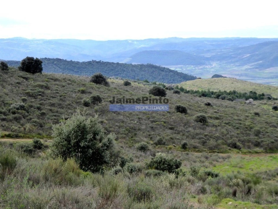 Terreno Agricola ou Rústico para Venda em Alfandega da Fe Foto 7