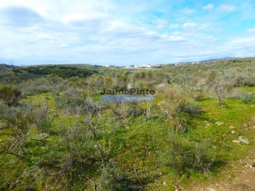 Terreno Agricola ou Rústico para Venda em Alfandega da Fe