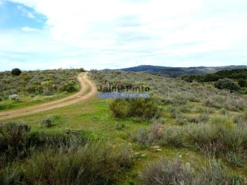 Terreno Agricola ou Rústico para Venda em Alfandega da Fe
