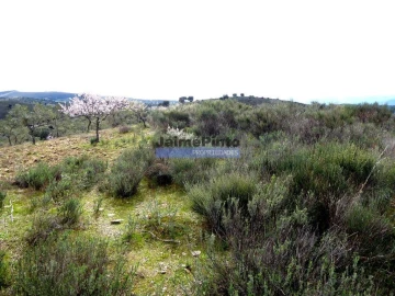 Terreno Agricola ou Rústico para Venda em Alfandega da Fe