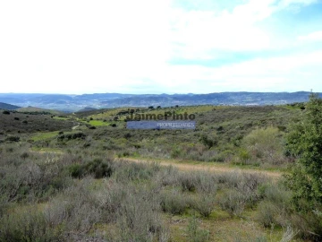 Terreno Agricola ou Rústico para Venda em Alfandega da Fe
