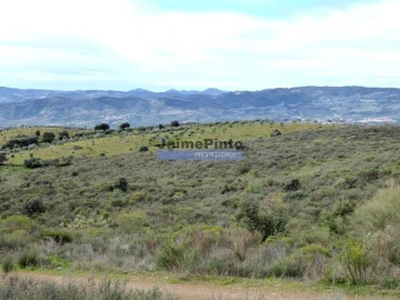 Terreno Agricola ou Rústico para Venda em Alfandega da Fe