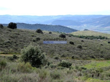 Terreno Agricola ou Rústico para Venda em Alfandega da Fe