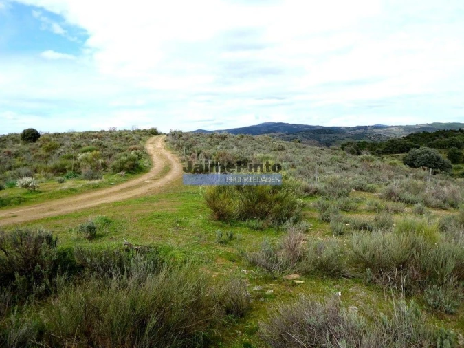 Terreno Agricola ou Rústico para Venda em Alfandega da Fe Foto 2