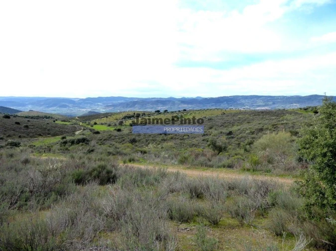 Terreno Agricola ou Rústico para Venda em Alfandega da Fe Foto 5