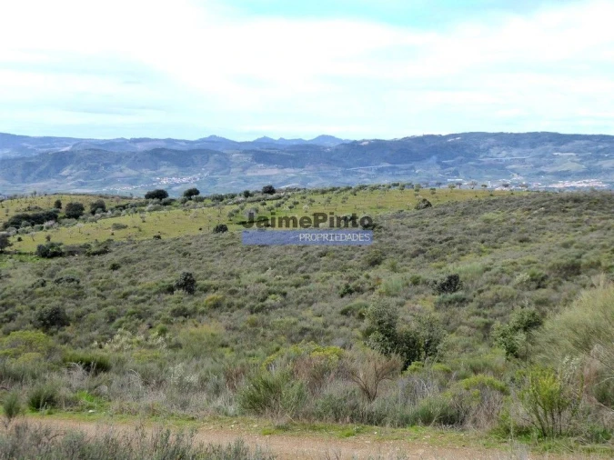 Terreno Agricola ou Rústico para Venda em Alfandega da Fe Foto 6