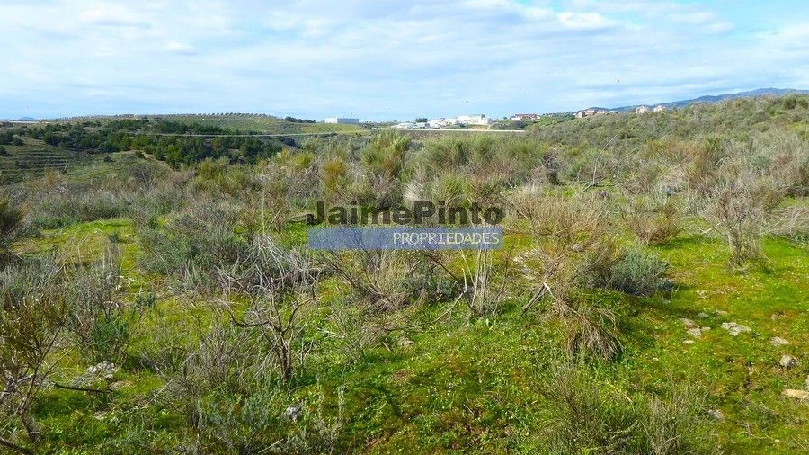 Terreno Agricola ou Rústico para Venda em Alfandega da Fe