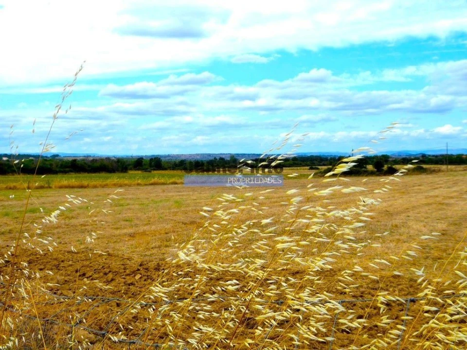 Terreno Agricola ou Rústico para Venda em Figueira de Castelo Rodrigo Foto 1