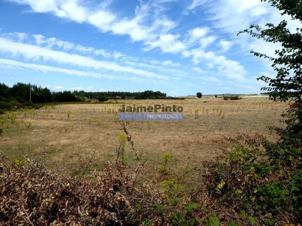 Terreno Agricola ou Rústico para Venda em Figueira de Castelo Rodrigo Foto 3
