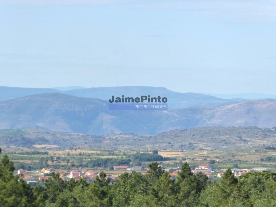 Terreno Agricola ou Rústico para Venda em Figueira de Castelo Rodrigo Foto 7