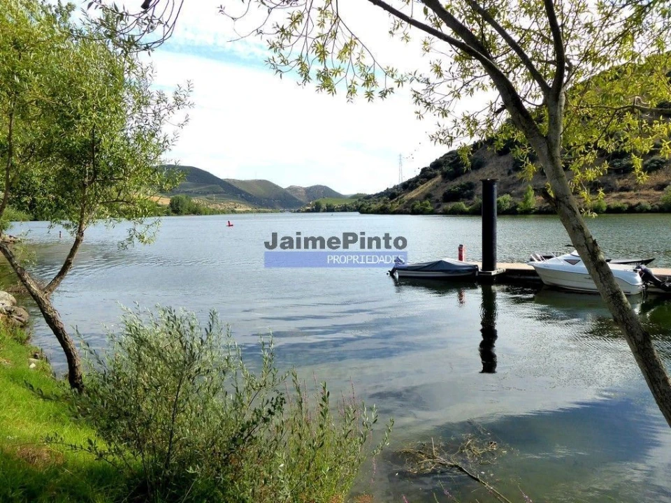 Terreno Agricola ou Rústico para Venda em Figueira de Castelo Rodrigo Foto 9