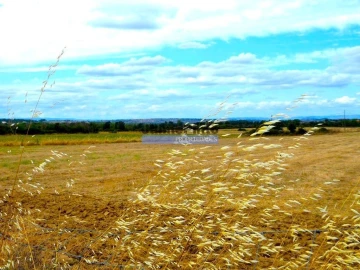 Terreno Agricola ou Rústico para Venda em Figueira de Castelo Rodrigo