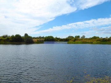 Terreno Agricola ou Rústico para Venda em Figueira de Castelo Rodrigo