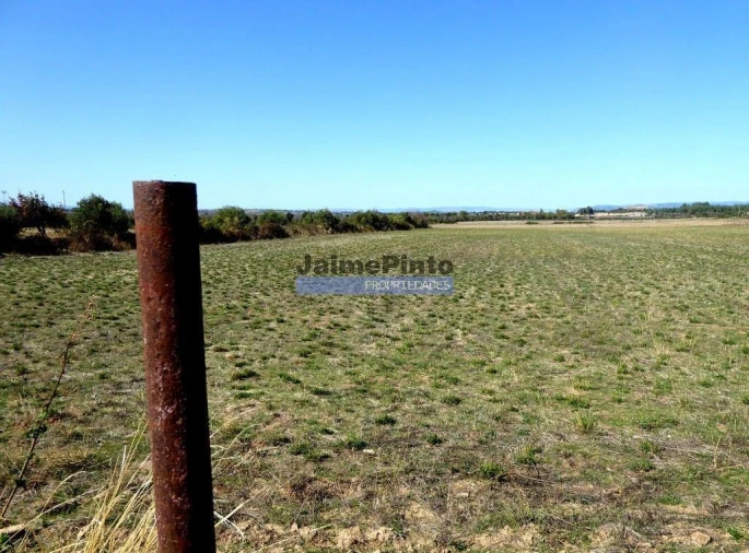 Terreno Agricola ou Rústico para Venda em Figueira de Castelo Rodrigo Foto 2