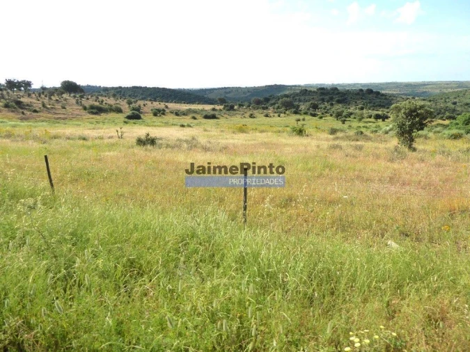 Terreno Agricola ou Rústico para Venda em Figueira de Castelo Rodrigo Foto 5