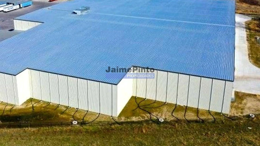 Terreno Agricola ou Rústico para Venda em Albergaria-A-Velha e Valmaior