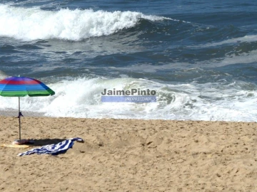 Terreno P/ Prédio para Venda em Maceira