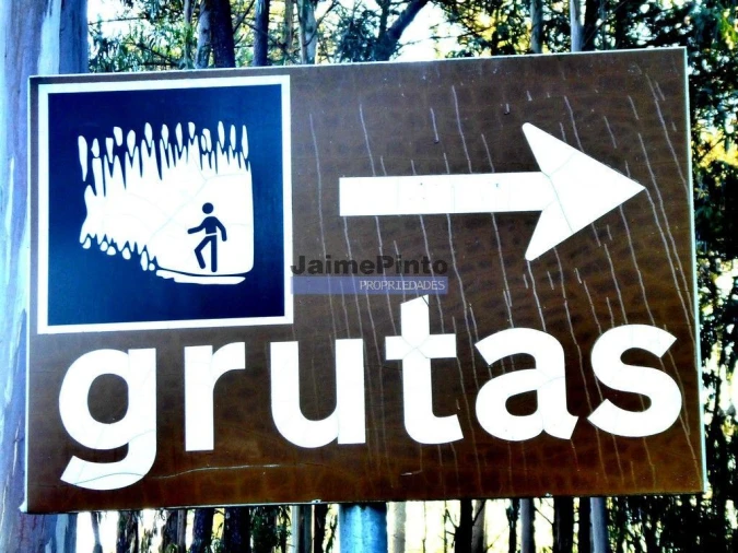 Terreno P/ Prédio para Venda em Maceira Foto 5