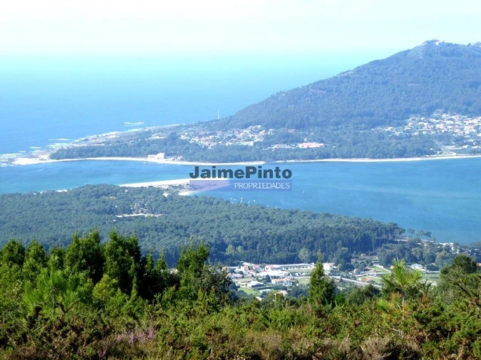 Quinta T7 para Venda em Caminha (Matriz) e Vilarelho Foto 4