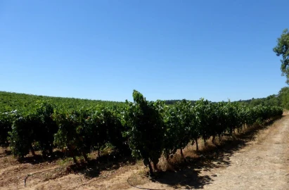 Quinta T0 para Venda em Fortios