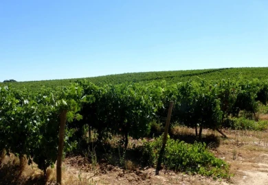 Quinta T0 para Venda em Fortios