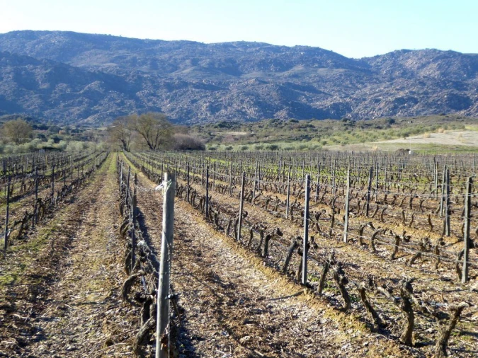 Quinta para Venda em Alfandega da Fe Foto 3