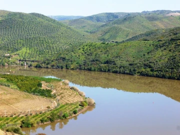 Negócio para Venda em Escalhão