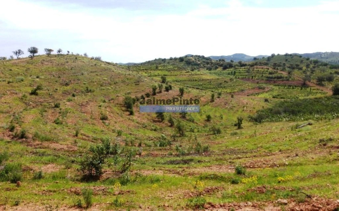 Terreno Agricola ou Rústico para Venda em Alcoutim e Pereiro Foto 3