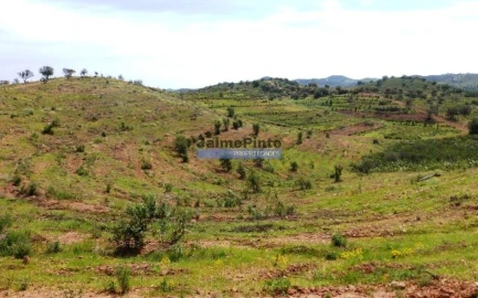 Terreno Agricola ou Rústico para Venda em Alcoutim e Pereiro