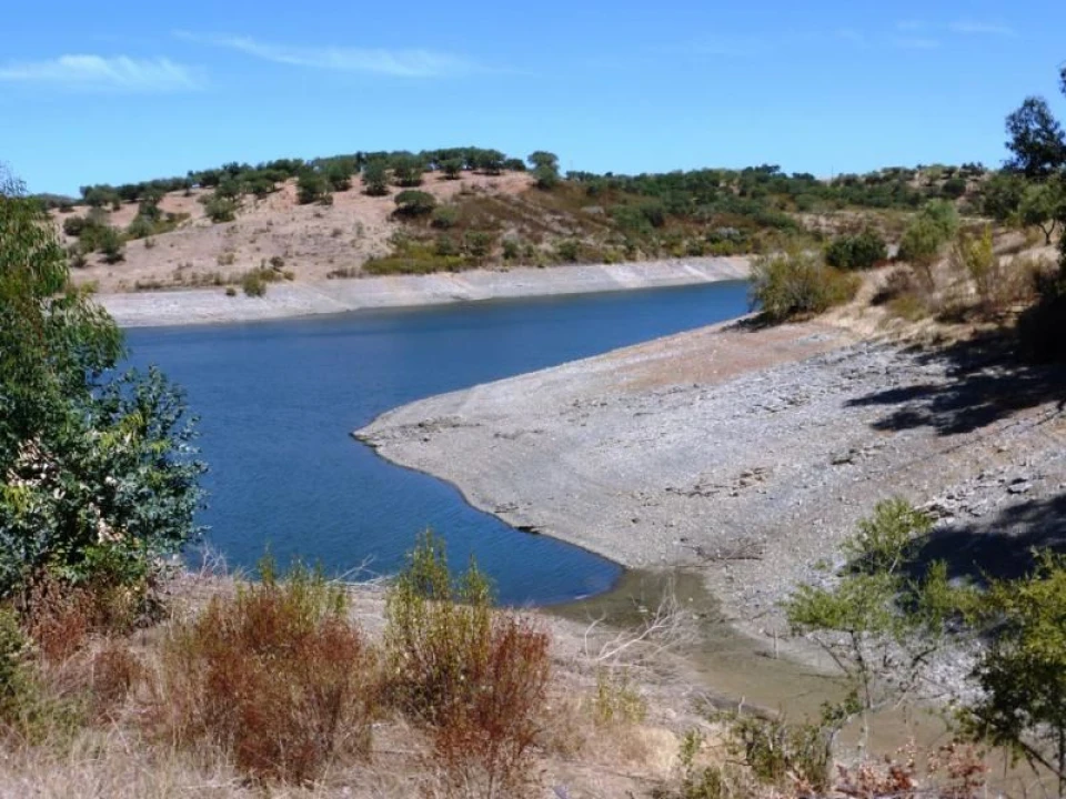 Terreno Agricola ou Rústico para Venda em Avis Foto 4