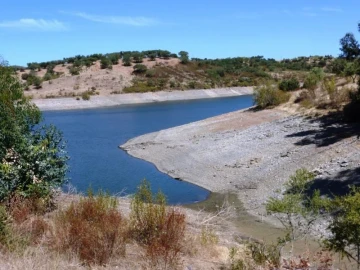 Terreno Agricola ou Rústico para Venda em Avis