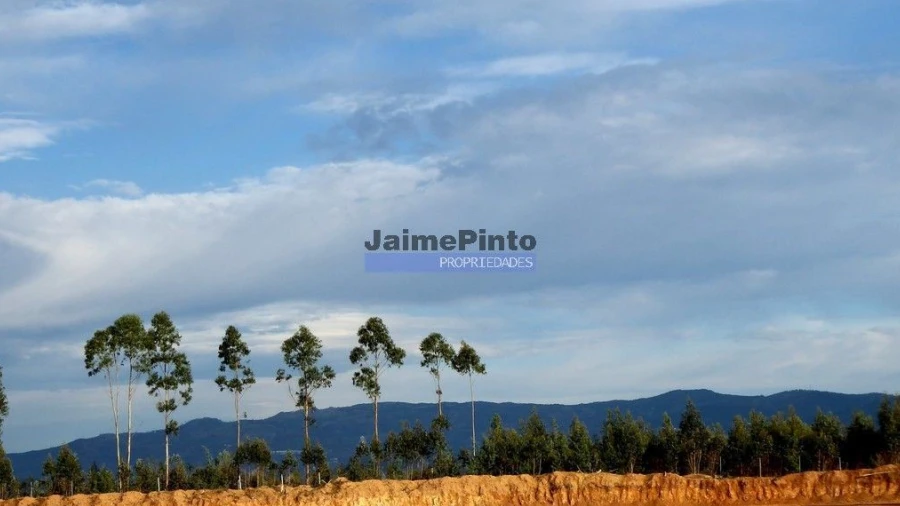Terreno Agricola ou Rústico para Venda em Albergaria-A-Velha e Valmaior