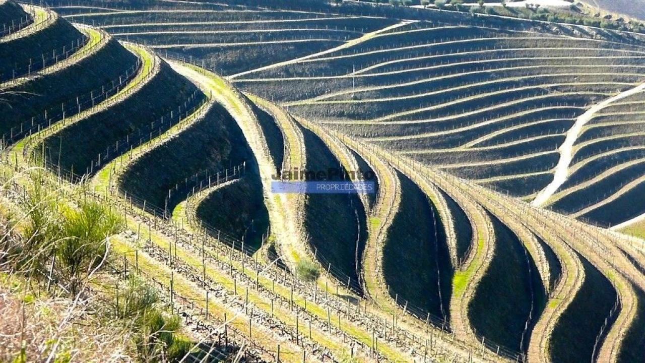 Terreno Misto para Venda em São João da Pesqueira e Várzea de Trevões Foto 2