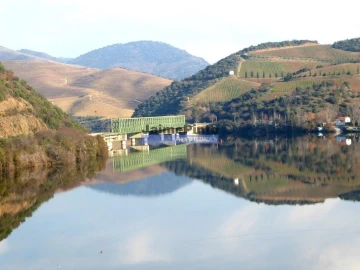 Terreno Misto para Venda em São João da Pesqueira e Várzea de Trevões