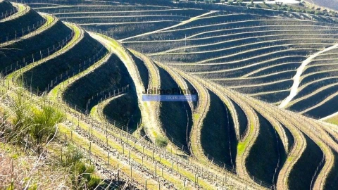 Terreno Misto para Venda em São João da Pesqueira e Várzea de Trevões