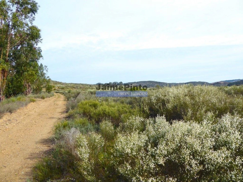 Terreno Agricola ou Rústico para Venda em Alfandega da Fe Foto 3