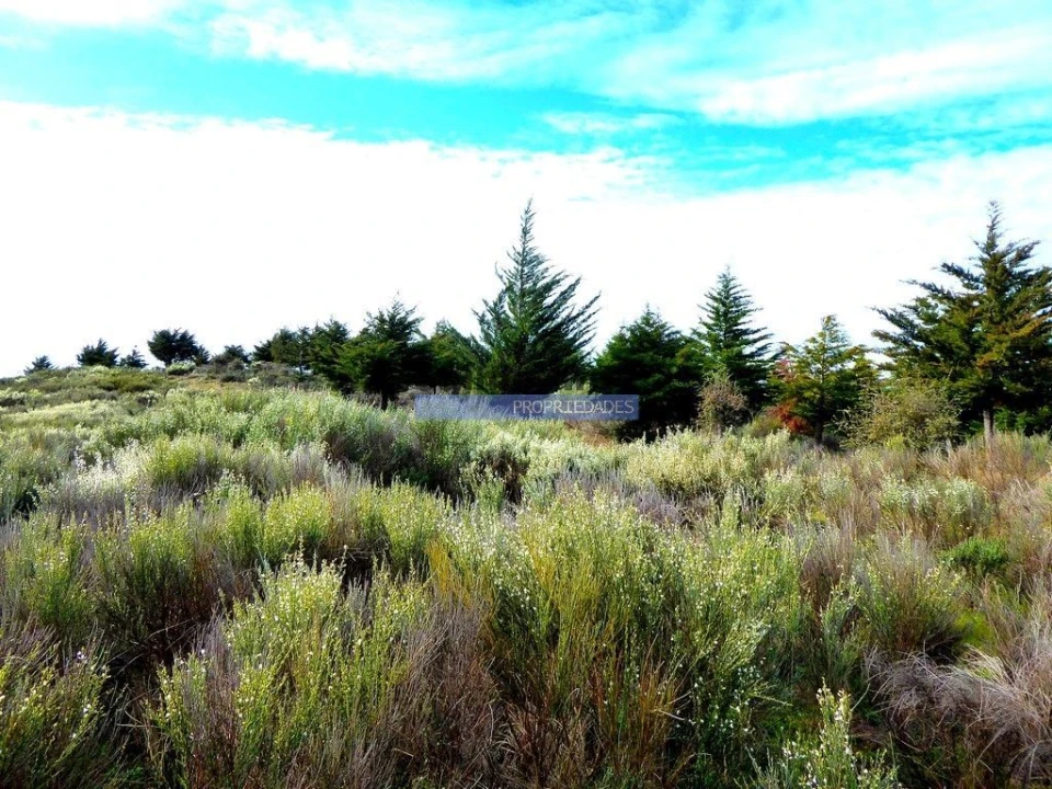 Terreno Agricola ou Rústico para Venda em Alfandega da Fe Foto 5