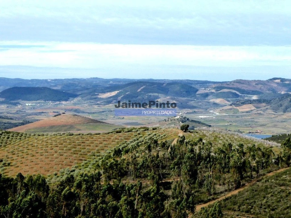 Terreno Agricola ou Rústico para Venda em Alfandega da Fe Foto 8