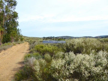 Terreno Agricola ou Rústico para Venda em Alfandega da Fe