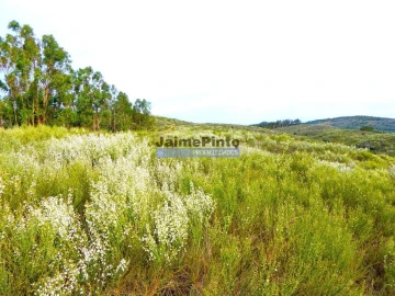 Terreno Agricola ou Rústico para Venda em Alfandega da Fe
