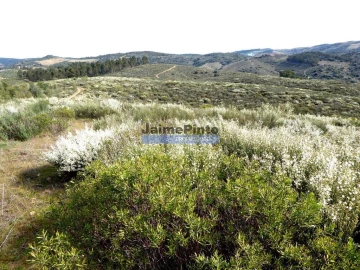 Terreno Agricola ou Rústico para Venda em Alfandega da Fe